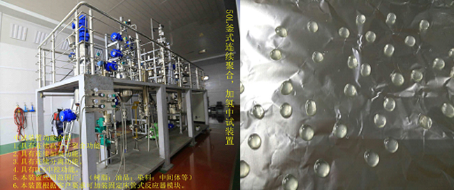 祝賀國內(nèi)首套釜式連續(xù)加氫中試成套裝置一次出料成功！.jpg